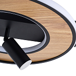 Потолочный светильник круглый GAVIN WOOD варинант исполнения - 2 | Loft Concept во Владивостоке