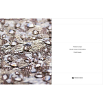 Книга Maison Lesage: Haute Couture Embroidery Mauries Patrick варинант исполнения - 11 | Loft Concept во Владивостоке