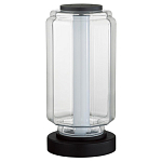 Настольная лампа с прозрачным плафоном Jarrty варинант исполнения - 1 | Loft Concept во Владивостоке