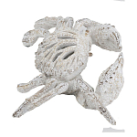 Статуэтка краб с детализированной текстурой в белом цвете Marine Accessories варинант исполнения - 4 | Loft Concept во Владивостоке