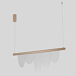 Люстра подвесная с пятью прозрачными элементами в форме лепестков и золотистым металлическим основанием DALI Tonin Casa варинант исполнения - 2 | Loft Concept во Владивостоке