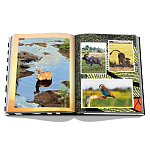 Подарочнный коллекционный фото альбом AFRICAN ADVENTURES NEW 2023 ASSOULINE HC UNBELIEVABLE ILLUSTRATIONS Safari варинант исполнения - 7 | Loft Concept во Владивостоке