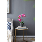 Декоративный искусственное растение Pink orchid варинант исполнения - 8 | Loft Concept во Владивостоке