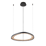 Люстра светодиодная  Iris варинант исполнения - 2 | Loft Concept во Владивостоке