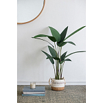 Декоративный искусственное растение Decor Stile  варинант исполнения - 7 | Loft Concept во Владивостоке