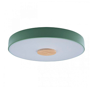 Потолочный светильник Wooden Wheels Green диаметр 40