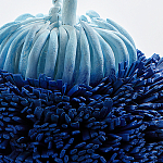 Статуэтка Синий тропический фрукт Tropical Fruit Pandora 1 варинант исполнения - 4 | Loft Concept во Владивостоке