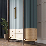 Шкаф «Гавайи» варинант исполнения - 2 | Loft Concept во Владивостоке