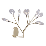 Бра в виде ветвей с прозрачными круглыми плафонами Moooi варинант исполнения - 1 | Loft Concept во Владивостоке