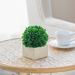 Декоративный искусственное растение Square boxwood варинант исполнения - 6 | Loft Concept во Владивостоке