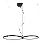 Люстра подвесная светодиодная черный металл Ring Horizontal варинант исполнения - 9 | Loft Concept во Владивостоке