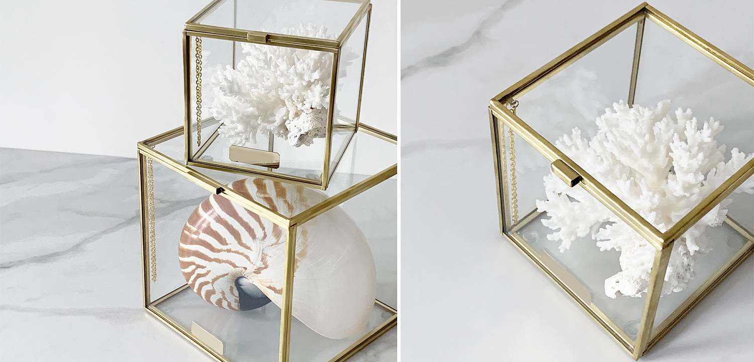 Статуэтка Natural Coral Glass Box S Статуэтка Natural Coral Glass Box S - Loft-Concept во Владивостоке