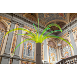 Дизайнерский торшер в виде пальмы Poltronova Sanremo Floor Lamp варинант исполнения - 9 | Loft Concept во Владивостоке