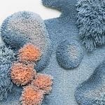 Тканый вручную Большой абстрактный гобелен Frost Forest варинант исполнения - 1 | Loft Concept во Владивостоке