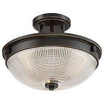 Потолочный светильник со стеклянным плафоном в виде купола Quoizel варинант исполнения - 8 | Loft Concept во Владивостоке