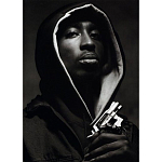 Подарочная книга величайший фотограф Альберт Уотсон The Vienna album Albert Watson варинант исполнения - 2 | Loft Concept во Владивостоке