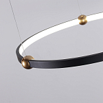 Люстра подвесная светодиодная черный металл Ring Horizontal варинант исполнения - 10 | Loft Concept во Владивостоке