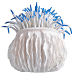 Статуэтка тропический фрукт Tropical Fruit White Blue варинант исполнения - 3 | Loft Concept во Владивостоке