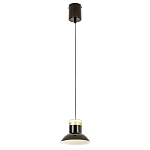 Подвесной светильник Celevis Black варинант исполнения - 2 | Loft Concept во Владивостоке