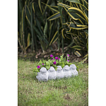 Кашпо Canaries варинант исполнения - 6 | Loft Concept во Владивостоке