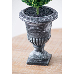 Декоративный искусственное растение Double boxwood варинант исполнения - 7 | Loft Concept во Владивостоке