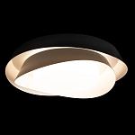 Потолочный светильник круглый черного цвета из металла Vita Cuna варинант исполнения - 1 | Loft Concept во Владивостоке