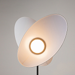 Напольный светильник Evolution 3000К 12Вт варинант исполнения - 5 | Loft Concept во Владивостоке