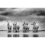 Книга Beusker. Look into my Eyes варинант исполнения - 4 | Loft Concept во Владивостоке