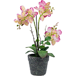 Декоративный искусственное растение Pink orchid варинант исполнения - 5 | Loft Concept во Владивостоке