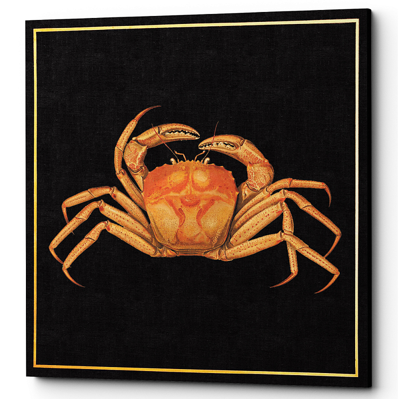 Постер Running Crab Poster Черный Оранжевый Постер Running Crab Poster Черный Оранжевый во Владивостоке | Loft Concept