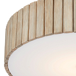 Потолочный светильник круглый светодиодный Contrasting Elements варинант исполнения - 1 | Loft Concept во Владивостоке