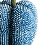 Статуэтка тропический фрукт Tropical Fruit blue варинант исполнения - 3 | Loft Concept во Владивостоке