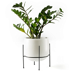 Кашпо из керамики Elevated Planters 32 варинант исполнения - 11 | Loft Concept во Владивостоке