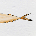 Плитка с узором Рыба Русалка варинант исполнения - 6 | Loft Concept во Владивостоке