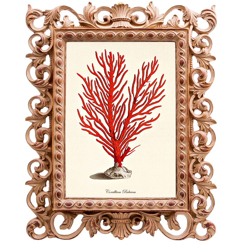 Постер Red Coral Poster 1 Бежевый Красный Постер Red Coral Poster 1 Бежевый Красный во Владивостоке | Loft Concept