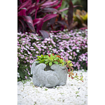 Кашпо A collection of baby rabbits варинант исполнения - 9 | Loft Concept во Владивостоке