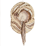 Овальный Современный Гобелен Абстракция в бежевых тонах Shallow варинант исполнения - 7 | Loft Concept во Владивостоке