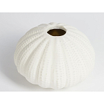 Подсвечник круглый белого цвета SeaFlowers варинант исполнения - 2 | Loft Concept во Владивостоке