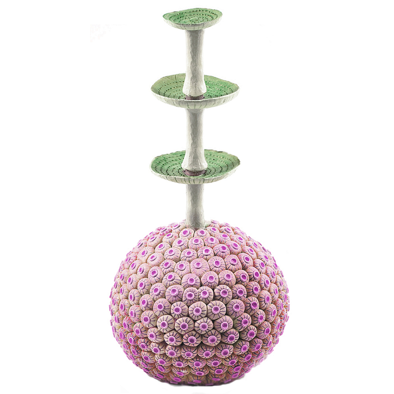 Статуэтка розовый экзотический фрукт Exotic Tropical Fruit 61 Зеленый Розовый во Владивостоке | Loft Concept 