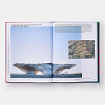 Radical Architecture of the Future варинант исполнения - 4 | Loft Concept во Владивостоке