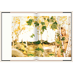 Подарочный Фотоальбом Matthew Rolston Beauty light 2006 варинант исполнения - 8 | Loft Concept во Владивостоке