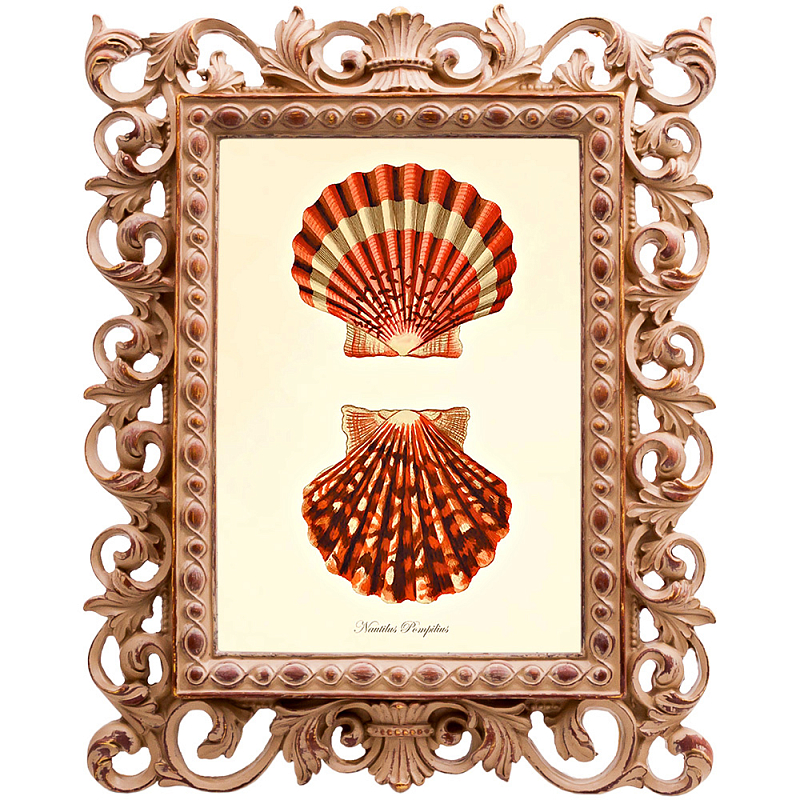 Постер Red Scallop Poster Бежевый Красный во Владивостоке | Loft Concept 