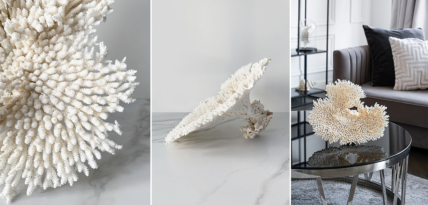 Статуэтка Table Coral Статуэтка Table Coral - Loft-Concept во Владивостоке