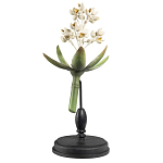 Статуэтка Wonderboom варинант исполнения - 1 | Loft Concept во Владивостоке