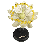 Статуэтка Tilia варинант исполнения - 1 | Loft Concept во Владивостоке