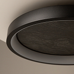 Потолочный светильник Orign 3000К варинант исполнения - 5 | Loft Concept во Владивостоке