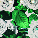 Штора Seletti Roses варинант исполнения - 1 | Loft Concept во Владивостоке