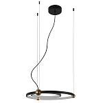 Люстра подвесная светодиодная черный металл Ring Horizontal варинант исполнения - 2 | Loft Concept во Владивостоке