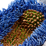 Дизайнерская статуэтка для интерьера Tropical Fruit Pandora 12 варинант исполнения - 3 | Loft Concept во Владивостоке