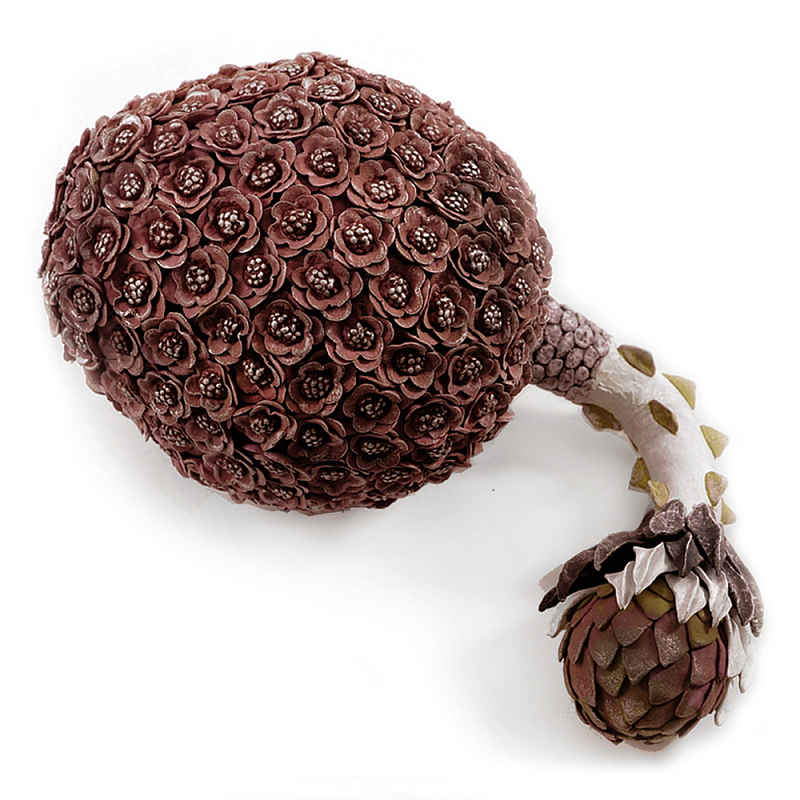 Коричневый фрукт Exotic Fruit Artichoke Brown 42 Коричневый Коричневый фрукт Exotic Fruit Artichoke Brown 42 Коричневый во Владивостоке | Loft Concept